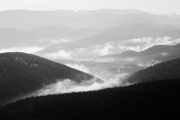Mountain landscape. Fog after rain rises between mountains. Grass and forest on hills. Panorama. Black and white photo
