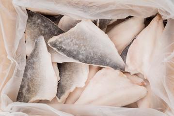 frozen fish