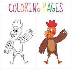 Coloring book page, cock. Sketch and color version. Coloring for kids. Vector illyustration
