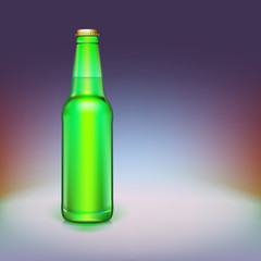 Beer bottle isolated on background.