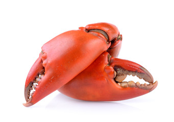 Boiled crab claws isolated on white background