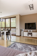 Spacious living room