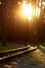 Obraz premium Railroad in the forest in the evening. Defocusing