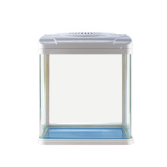 Empty water tank (aquarium)