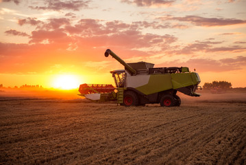 Harvesting the countryside