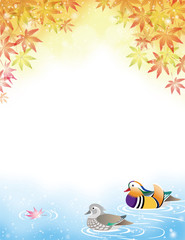 オシドリと秋のモミジの紅葉