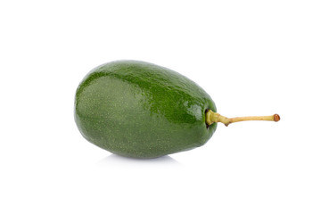 avocado on white background
