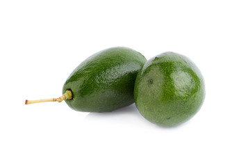 avocado on white background