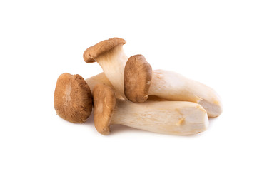 King Oyster mushroom (Eringi) on white backgroud