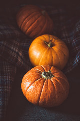 Close up orange pumpkins on plaid background. Fall symbol wallpaper, autumn cosiness. Thanksgiving Day concept. Still life vegetables. Halloween holiday. Card, text place, copyspace.