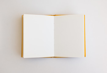 Opened blank notebook