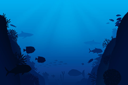 Vector illustration of sea life and coral on seabed background.