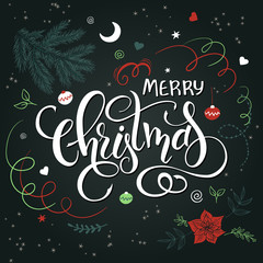 Vector hand drawn lettering - merry christmas - with doodle decorative elements - poinsettia flower, branch, serpentine and snowflake