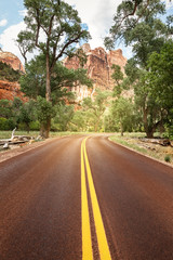 Fototapeta na wymiar The road in Utah, Zion National Park, USA