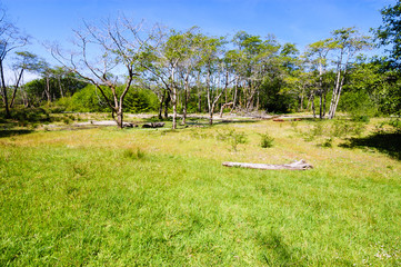 Redwood National Park