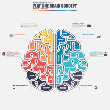 Thin line flat business brain infographic elements