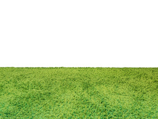 green carpet on white background