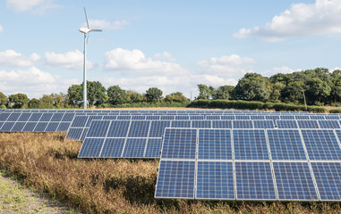 Solar panels and wind turbine