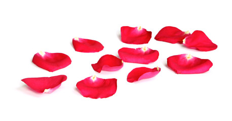 Pétales de rose rouge