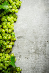 White grapes with leaves.