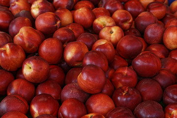 nectarines