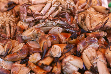 fish sales stall