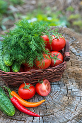 Basket and wooden plate with fresh vegetables (tomatoes, cucumbe
