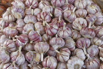 garlic