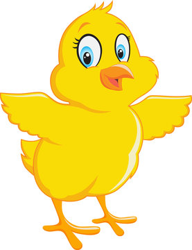 Cute chick cartoon for design on white background. vector illustration eps10. Hen, bird, rooster, chicken