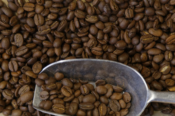 coffee beans