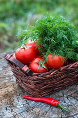Basket and wooden plate with fresh vegetables (tomatoes, cucumbe