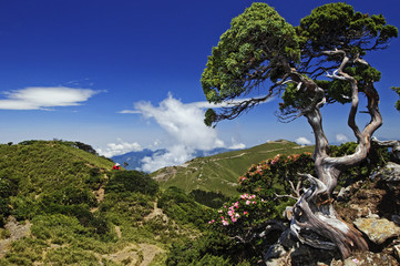 Obraz premium Taiwan Landscape