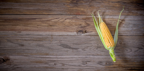 top view corn cob © Vincenzo De Bernardo