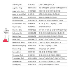 20 amino acids Alanine Arginine Asparagine Cysteine Glutamine Glycine Histidine Isoleucine Leucine Lysine Methionine Phenylalanine Proline Serine Threonine Tryptophan Tyrosine Valine