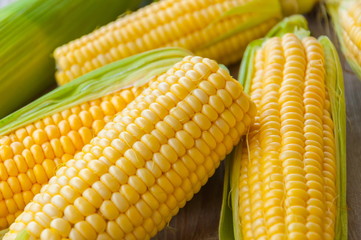 Fresh corn on cobs on wooden table 