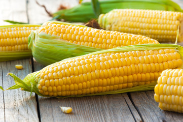 Fresh corn on cobs on wooden table 