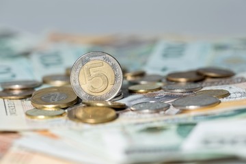 Polish zloty in notes and coins, photograph with depth of field.