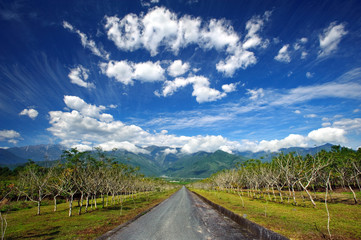 Fototapeta na wymiar landscape of Taiwan Hualian 