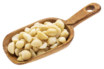 rustic scoop of macadamia nuts