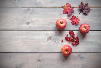 Autumn apples © Pixelbliss