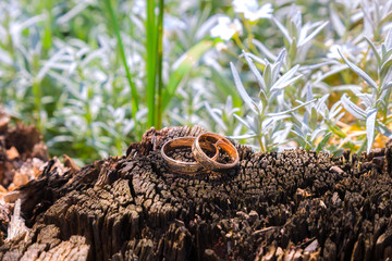 wedding rings on a tree stump