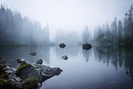 Scenic view of lake by trees in foggy weather