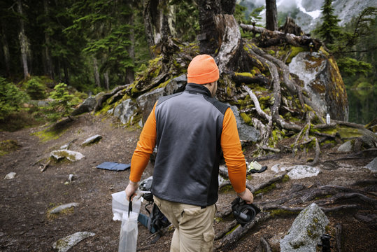 Rear view of man walking in forest