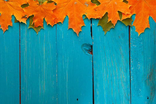 Autumn leaves over turquoise wooden background with empty space