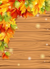 Naklejka na ściany i meble Autumn leaves on the background of wooden boards, maple leaves decorative design template set. Vector illustration