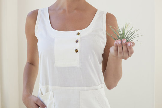 Midsection of woman holding plant at home