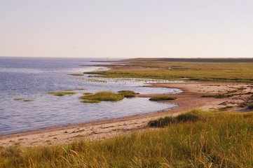 Der Strand bei Havneby auf Römö in Dänemark an der Nordsee