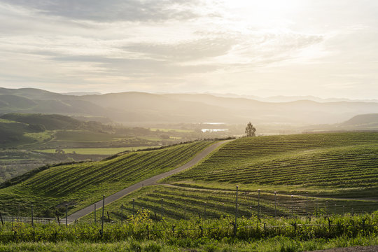 Scenic view of farm and mountains against sky