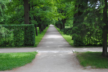 Alley of Tsarskoye Selo in St. Petersburg