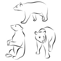vector set of bear silhouettes isolated on white background. Wild grizzly contour, animal in different poses. Hand drawn wild mammal. Graphic illustration clip art. Flat design